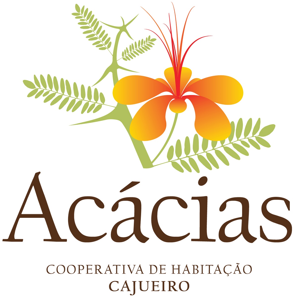 Acácias