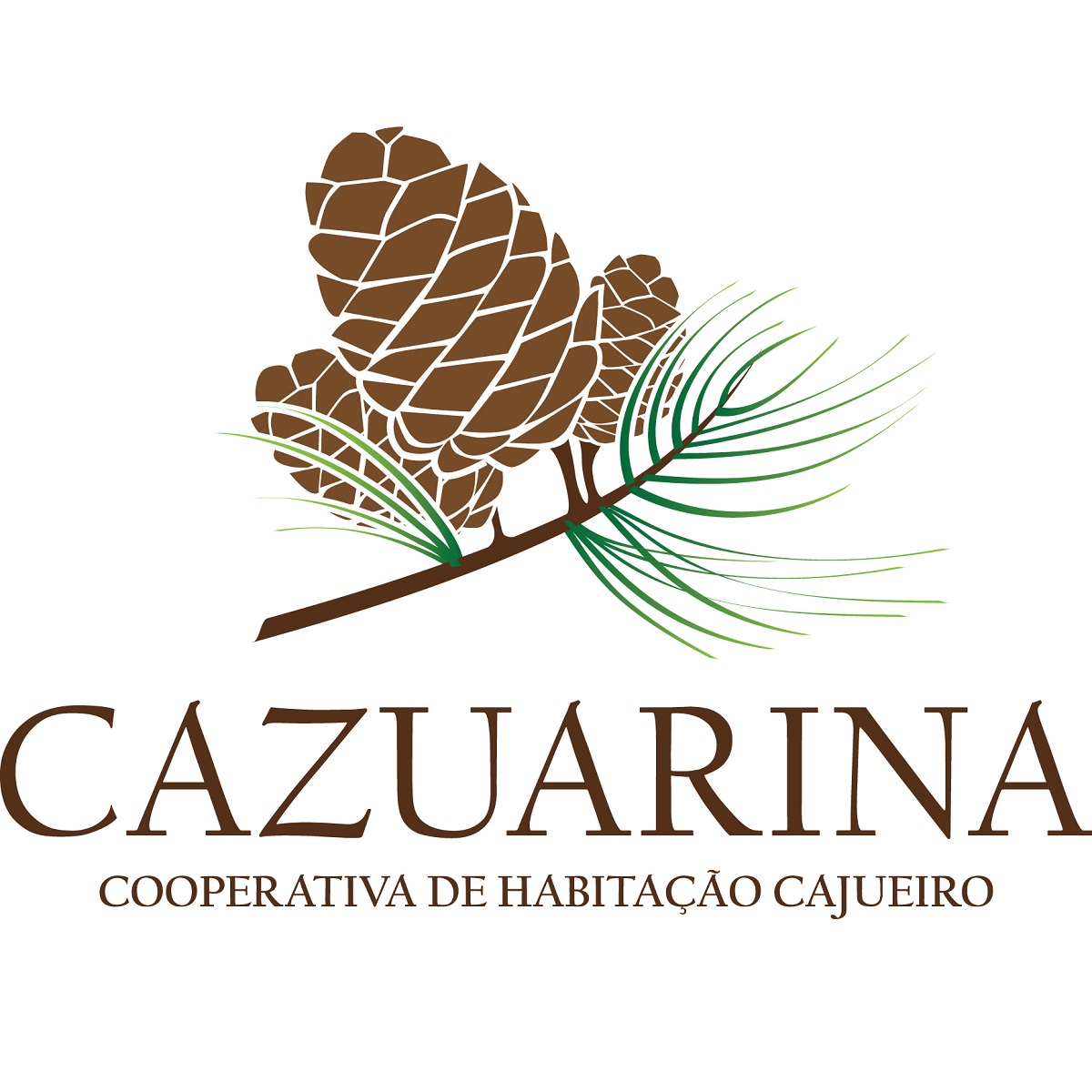 Cazuarina