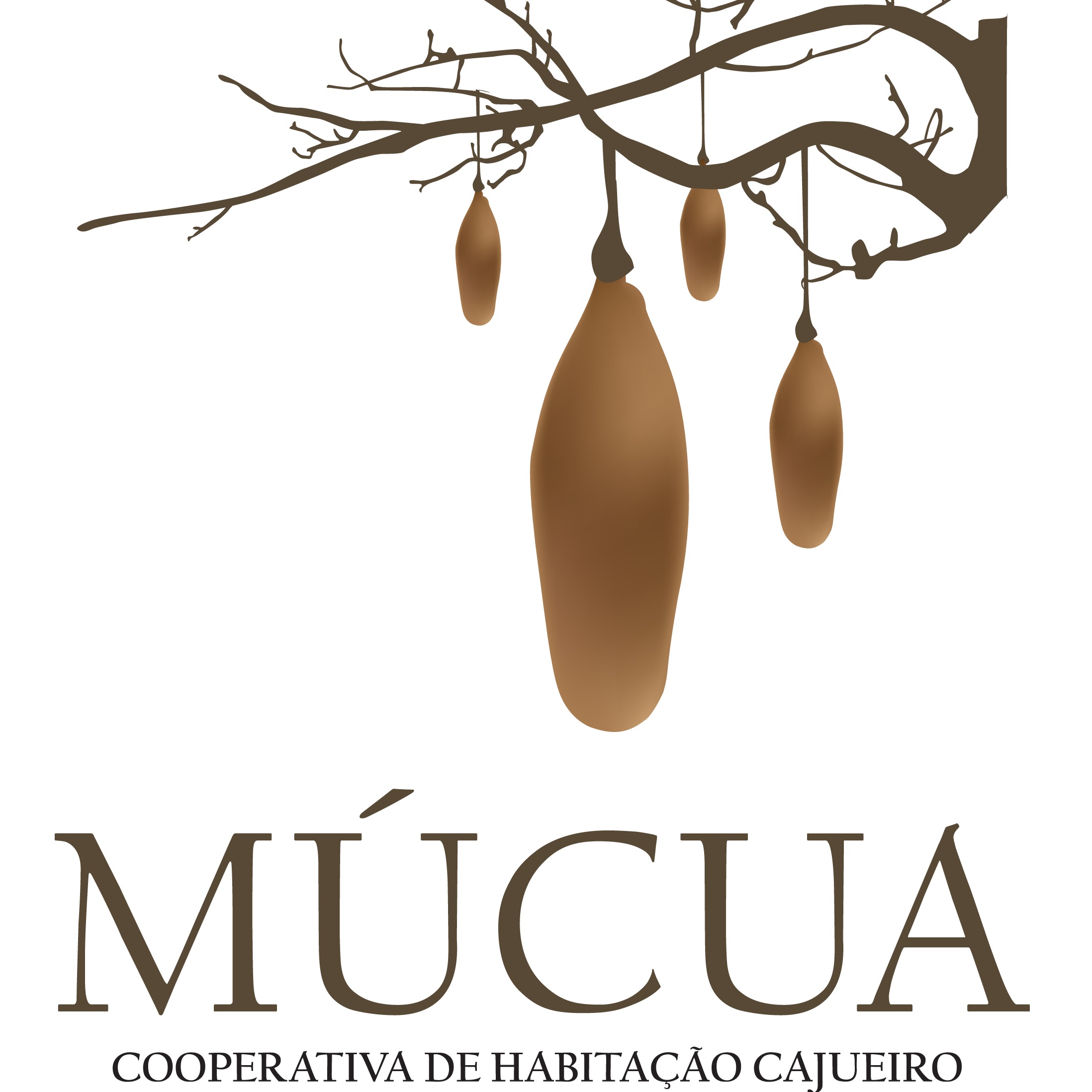 Múcua